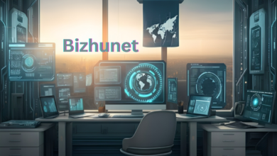 Bizhunet