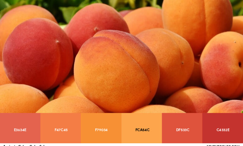 Apricot Color